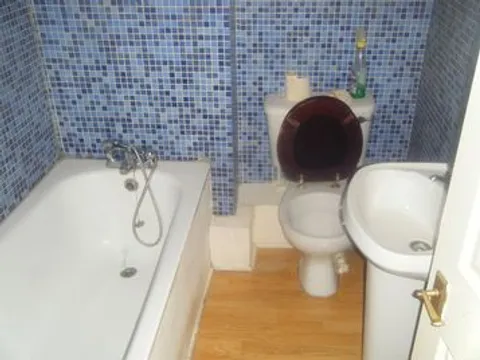 22649385.jpg