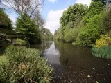 1 The Woodlands, Pedmore