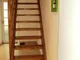 DSC04250.jpg