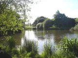 Walthew Green, Roby Mill, Skelmersdale WN8