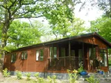 Scotch Pine, Haverthwaite, Ulverston LA12