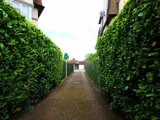 Car Park and Garage, Lancaster Close, Kingston