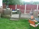 Image 5 Image 5