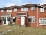 Tulip Tree Close
