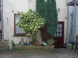 Studio Flat To The Rear Of, 17 Dimond Street, Pembroke Dock