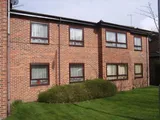 The Paddocks