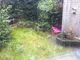 25397_98246_1_IMG_09.jpg
