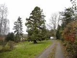 Khyber House Plot, Bridge of Allan, Stirlingshire