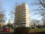 Fitzhugh Grove, Wandsworth
