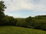 Buzzacott Lane
Combe Martin
