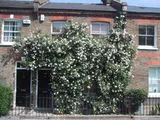 Collins Street, Blackheath