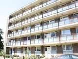Swanton Gardens, southfields, SW19