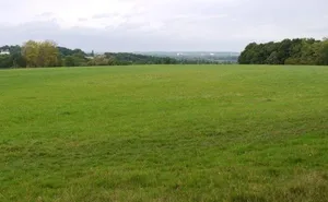 property in Little Berkhamsted Lane, Little Berkhamsted, Hertford, Hertfordshire