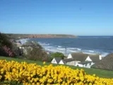 Beach View