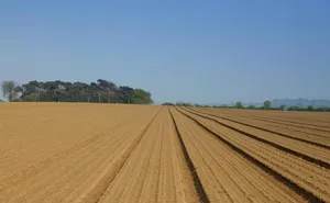 property in Capel Hall (Lot 5), Capel Hall Lane, Trimley St. Martin, Suffolk