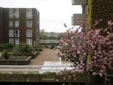 Holyport Road, London, SW6 6LQ