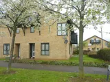 Walnut Tree
