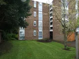 Albemarle Road