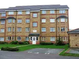 Orchid Close