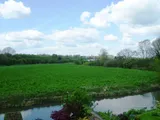 Amington Road, Tamworth, B77
