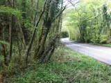 Taw Valley