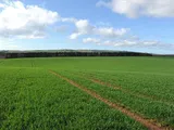 Forfar, Angus

