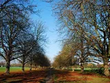 Castlebar Hill - Ealing W13