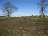 Plot , Hermitage Gardens, Doddington, Cambridgeshire