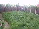 000024756_2594196_IMG_07.jpg