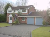 Floral Wood, Aigburth, Liverpool