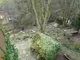 Image 5 Image 5