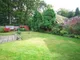 Garden Garden