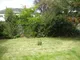 Lawn