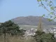 Image 5 Image 5