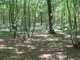 Wood4 Wood4