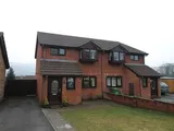 Nant y Mynydd, Coed y Cwm