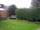 Image 6 Image 6