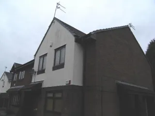 17559_200438406_IMG_00.jpg