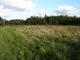 open-uri20130425-26940-rthsn8-0.jpg